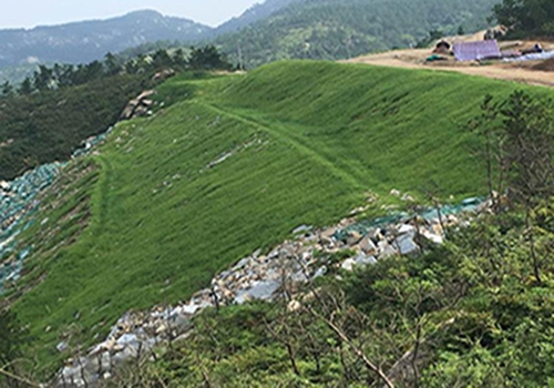 石嘴山生态喷播绿化技术