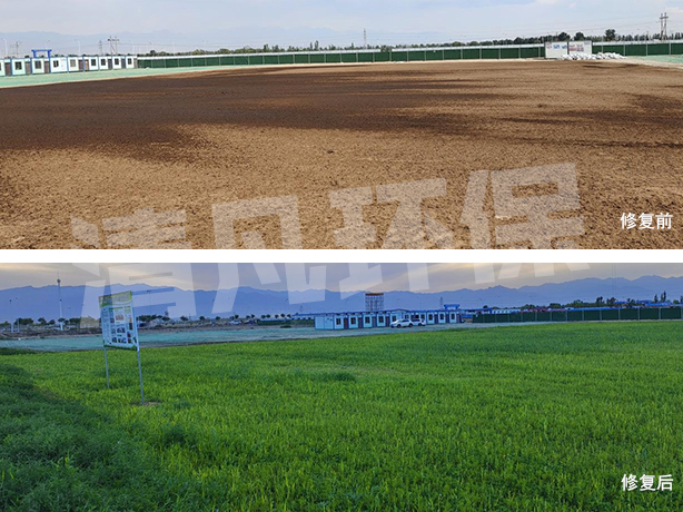 有水印---生态修复 (1).jpg