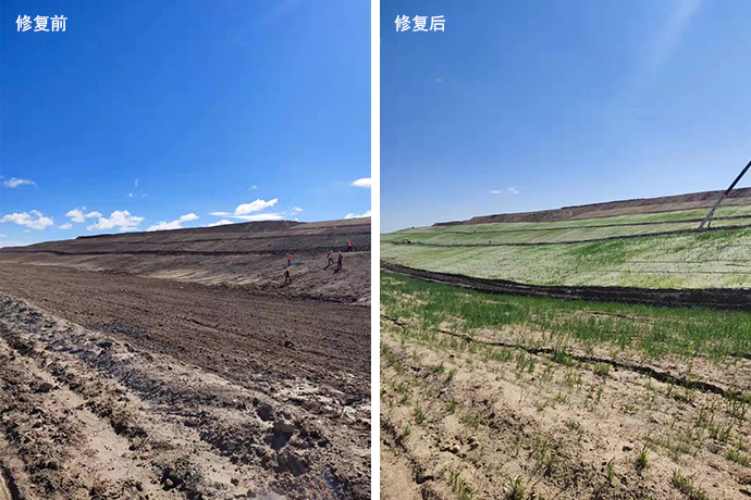 生态修复 (2).jpg